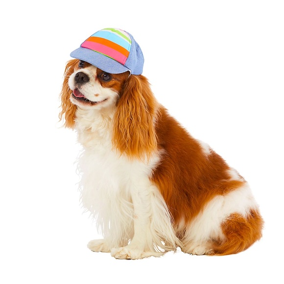 Trucker Hat for your dog - Picture 1 of 3